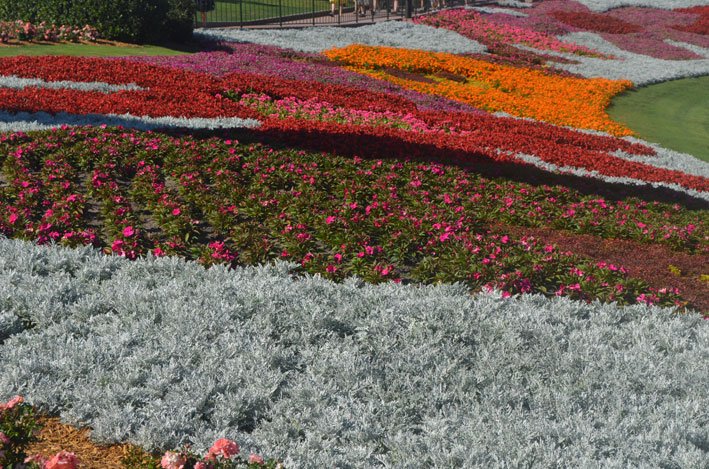 Epcot-Flower-and-Garden-Festival-parque2