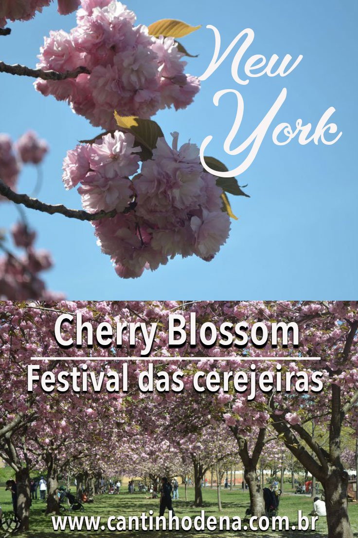Cherry Blossom no Brooklyn Botanic Garden em New York
