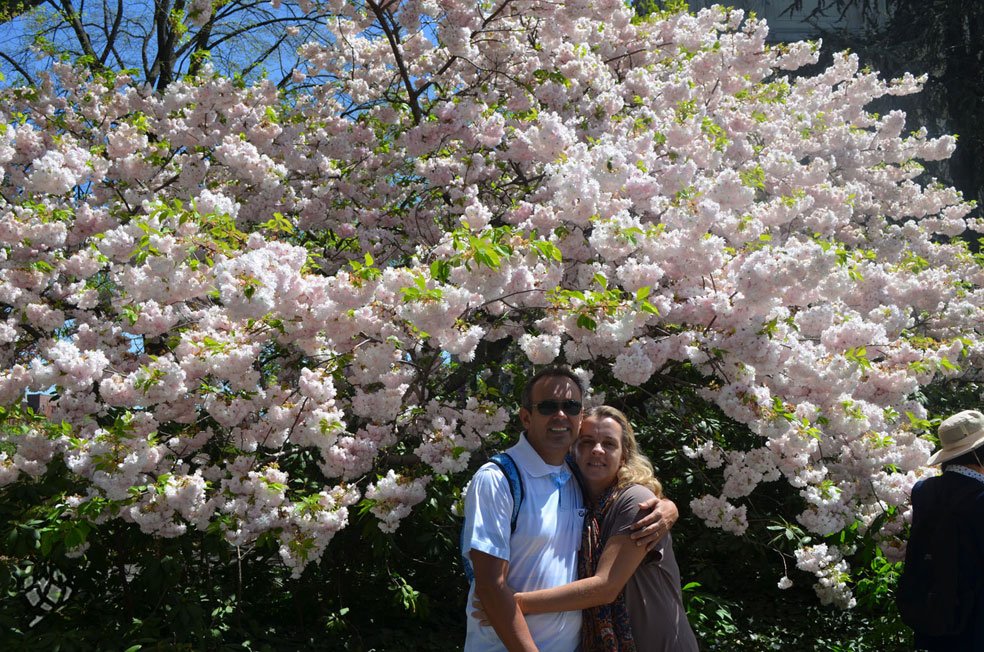 brooklyn botanic garden eu e pipo