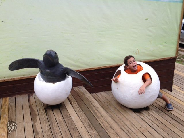 Fernando de Noronha com crianças