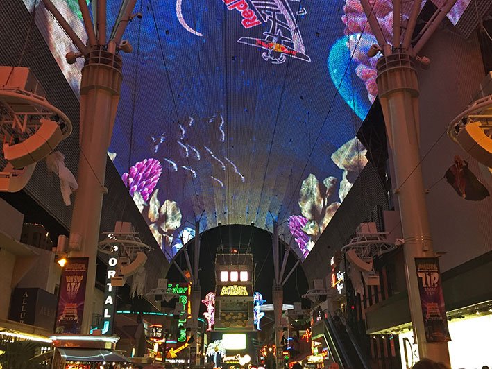 Fremont-experience-teto1