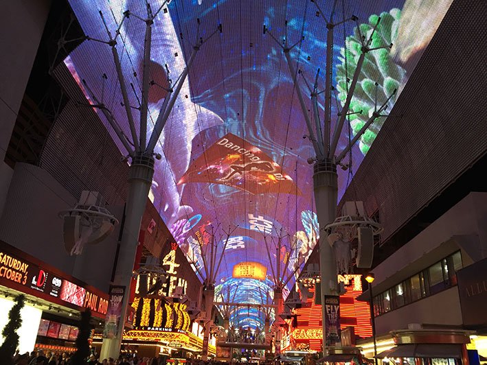 fremont-experience-teto2