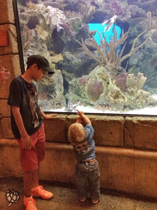 Aquario LV Arthur com amigo