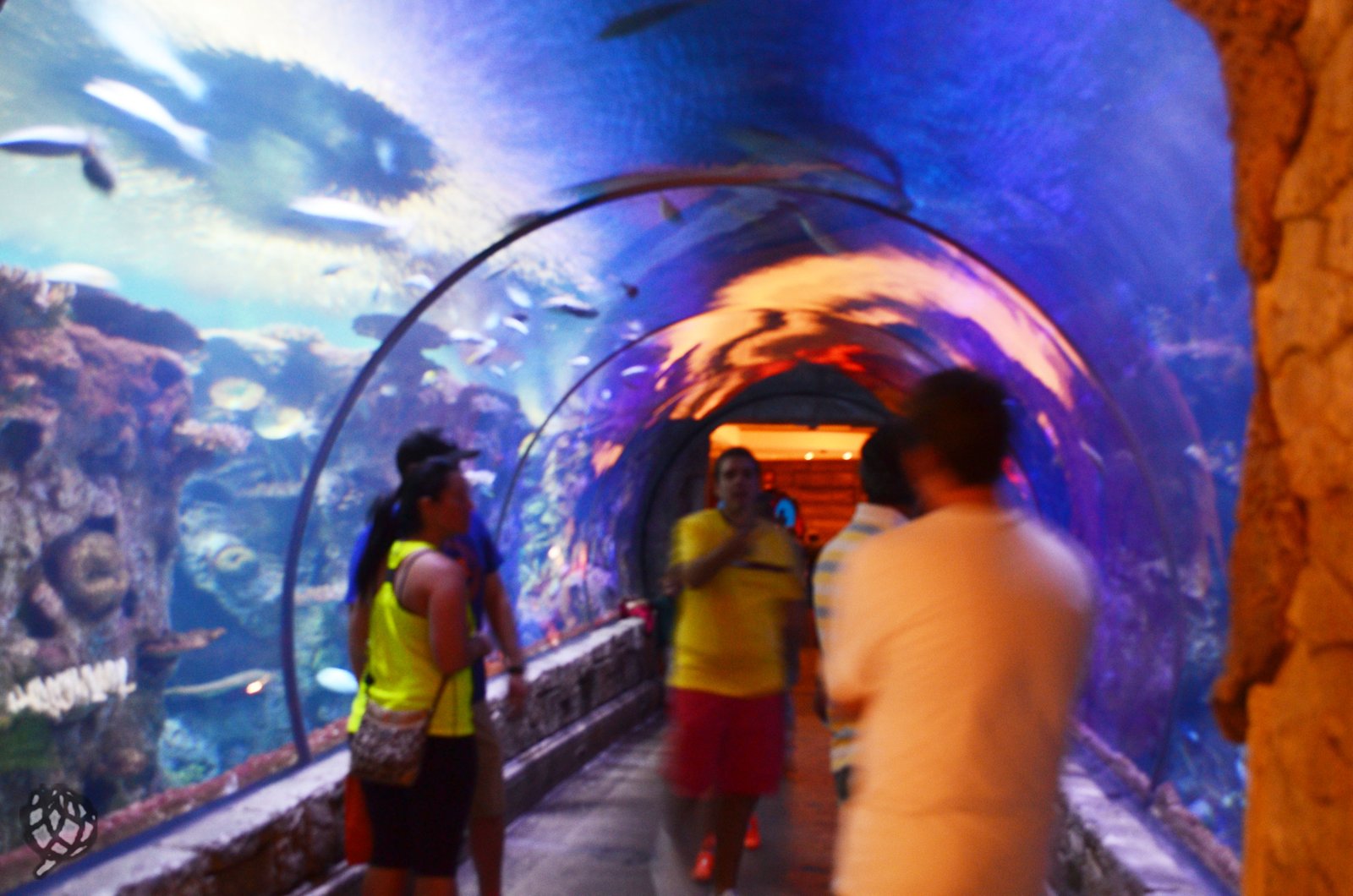 Aquario LV tunel2