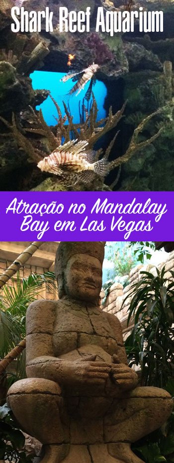 Shark Reef Aquarium no Mandalay Bay em Las Vegas