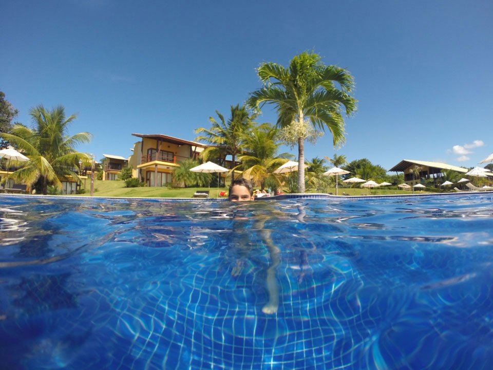 Girassois-piscina2