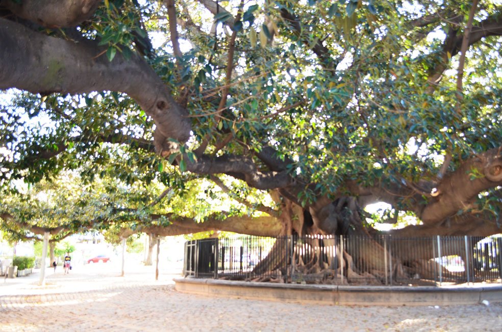 Roteiro-de-3-dias-em-BUenos-Aires-23