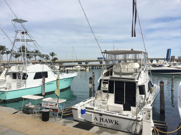 Bayside-Marketplace-barcos