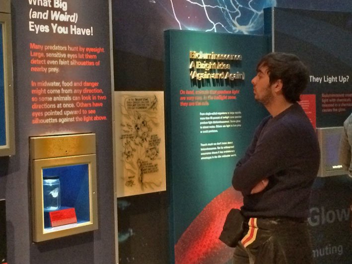 Museu-de-Historia-Natural-de-Washington-5