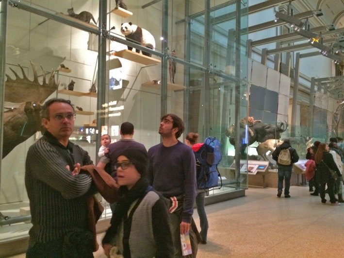 Museu-de-Historia-Natural-de-Washington-7