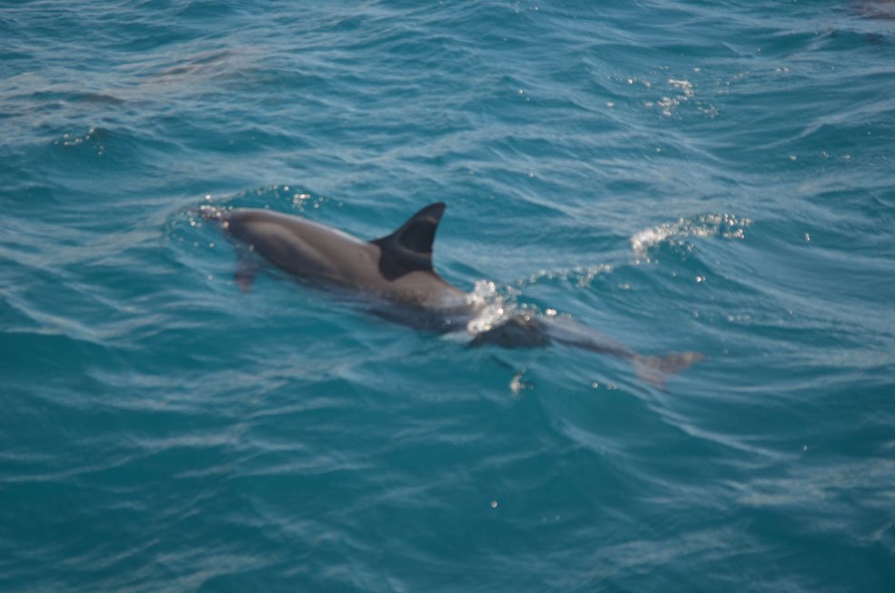 Nossas-5-melhore-viagens-em-familia-FN3