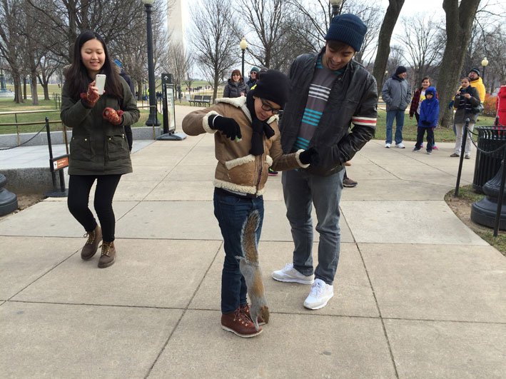 Nossas-5-melhores-viagens-em-familia-NY5