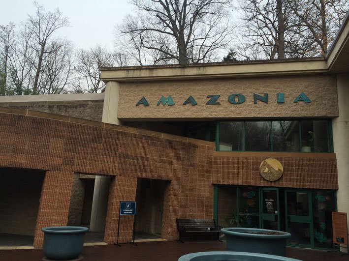 Zoo-de-Washington-Amazonia