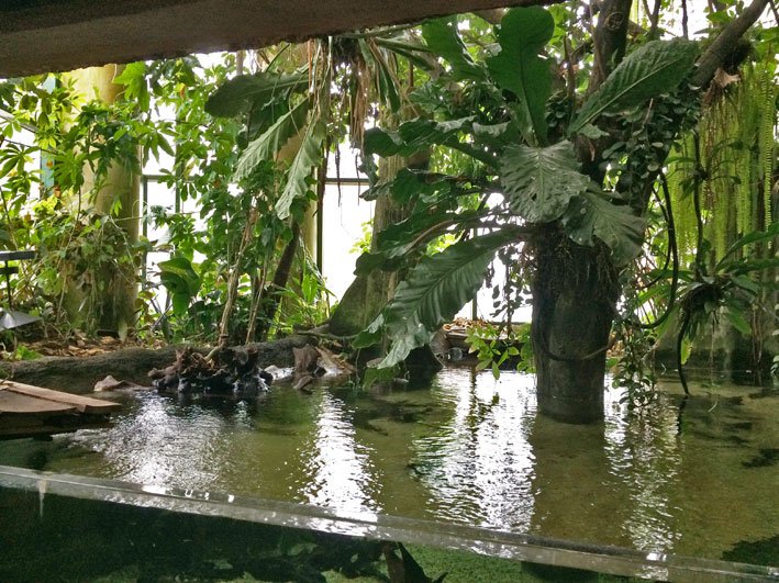 Zoo-de-Washington-plantas