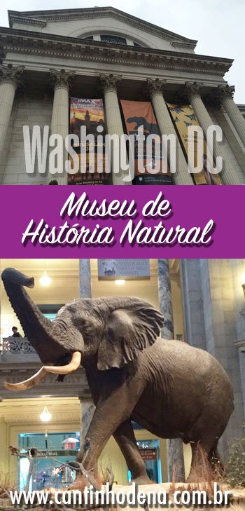 Como é a visita ao Museu de História Natutal de Washington DC