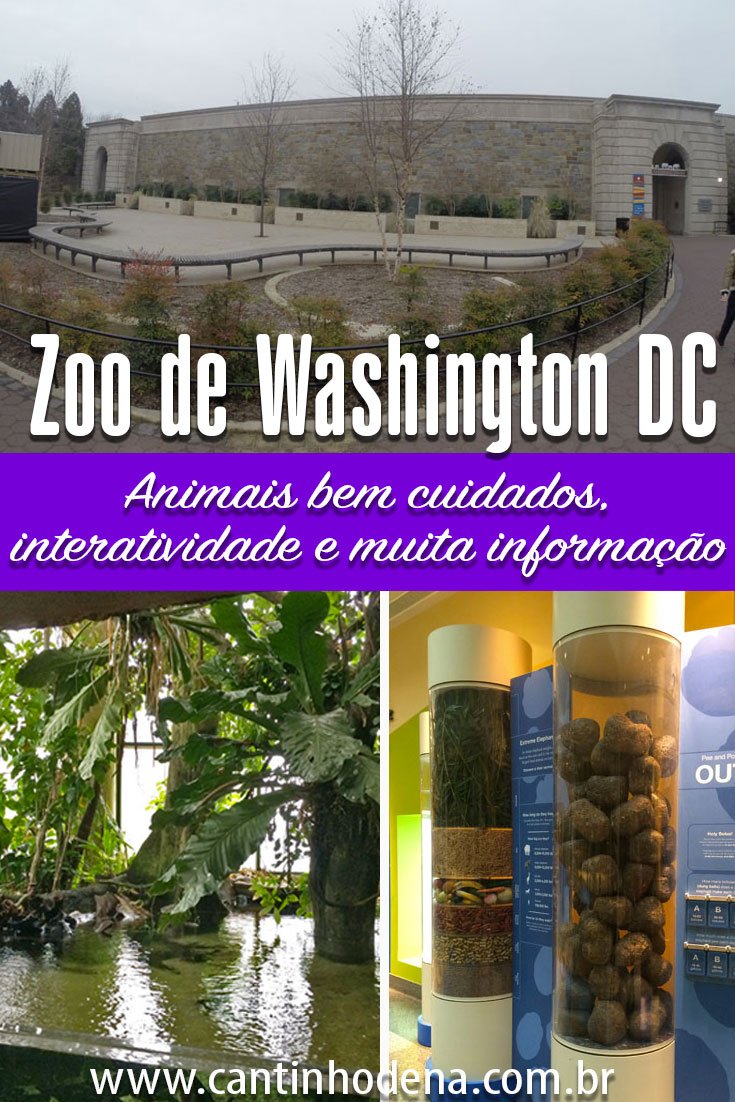 Como é o zoológico de Washington DC, fomos no mês de dezembro, mas apesar do frio e da chuva os meninos adoraram. Alguns animais estavam recolhidos por cauda do tempo e isso mostra o cuidado que eles recebem lá.