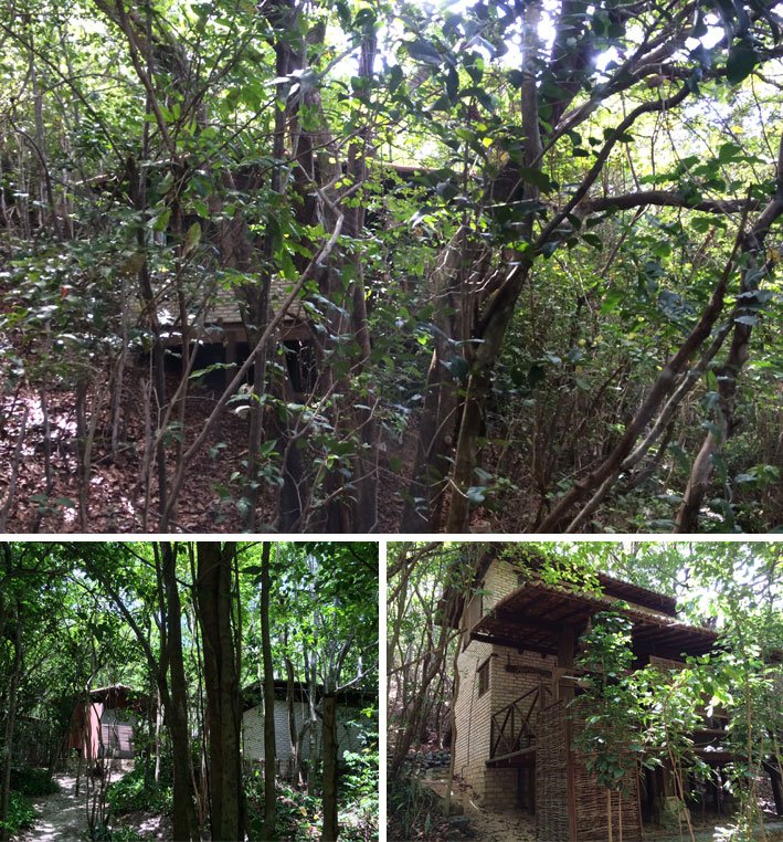 Pousada-Mirante-de-Pipa-mata
