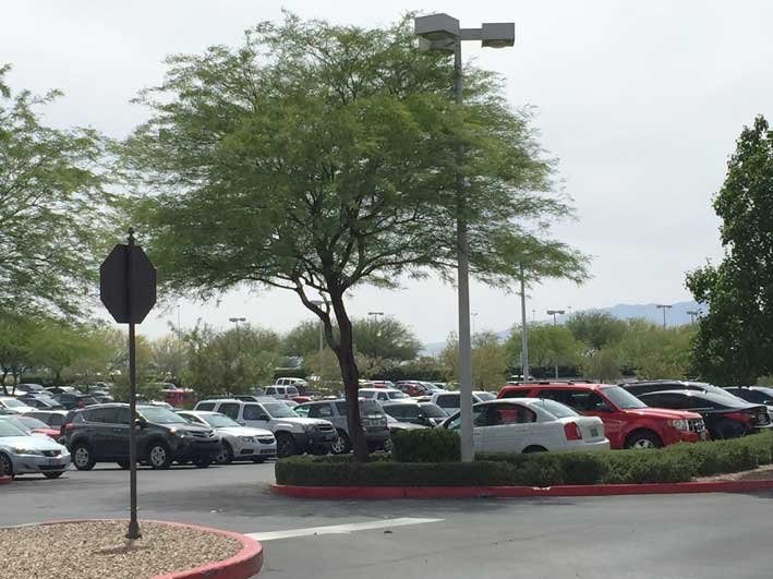 12-dicas-para-compras-em-Las-Vegas-alem-dos-outlets-Town-estacionamento