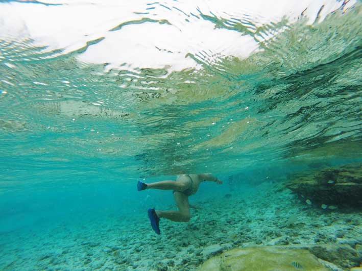 Como-e-o-passeio-a-Haines-Cay-e-Acuario-Pipo