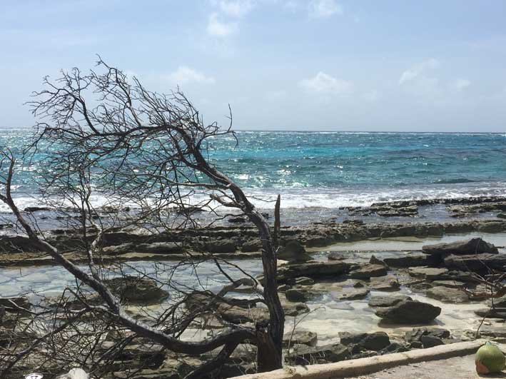 Tduo-sobre-Johnny-Cay-praia1