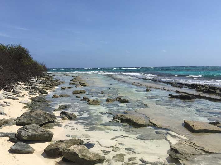 Tudo-sobre-Johnny-Cay-praia2