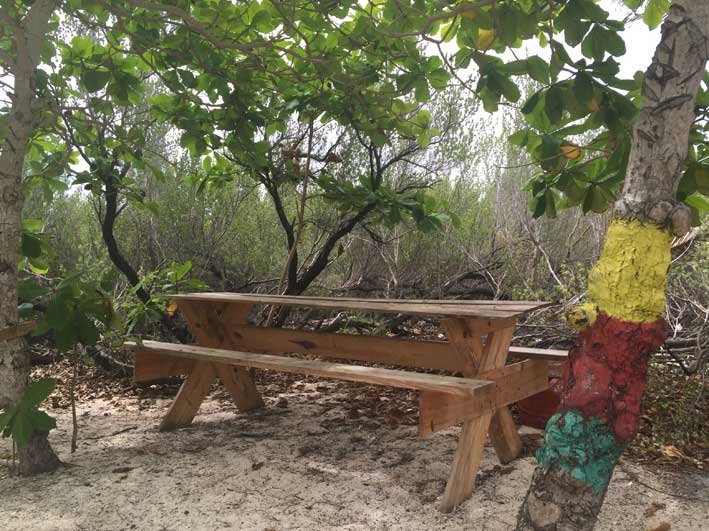 Como-e-o-passeio-a-Cayo-Bolivar-mesa