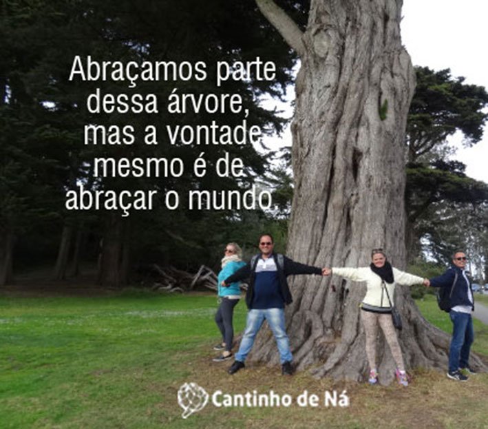 10-frases-sobre-viagens4