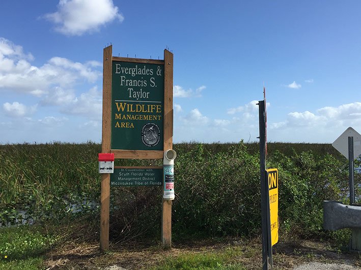 O-que-fazer-em-naples-em-um-dia-estrada2