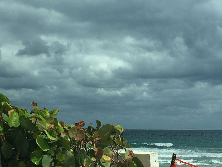 Palm Beach