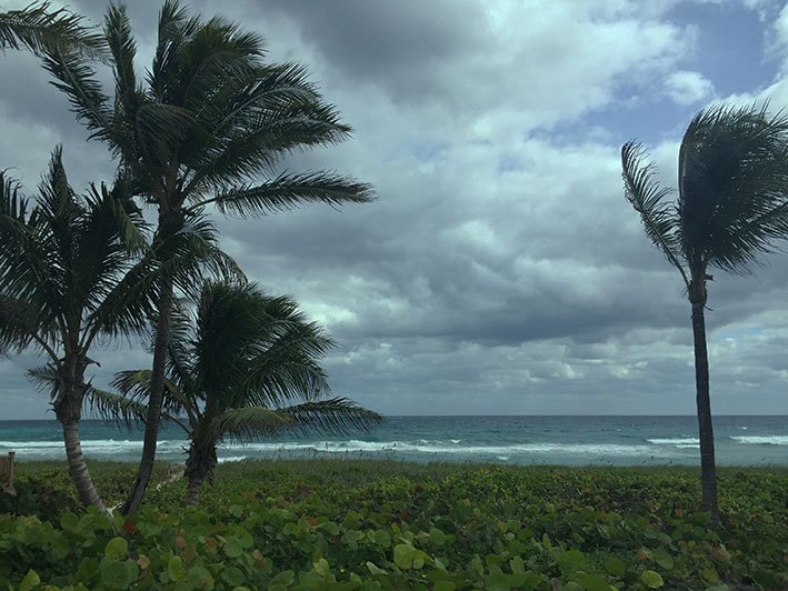 Fort-Lauderdale-bate-volta8