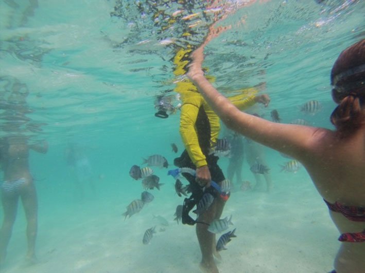 mar azul das piscinas naturais de Maragogi Piscinas naturais