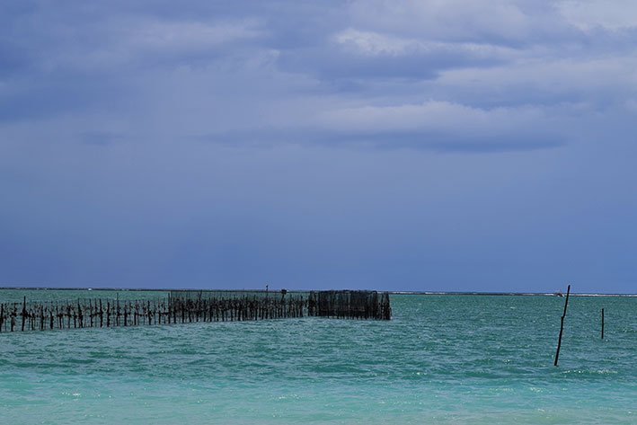 Maragogi33