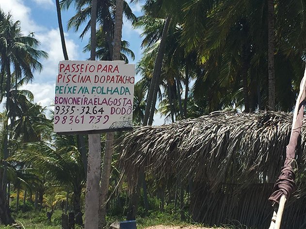 Passeio às piscinas de Patacho