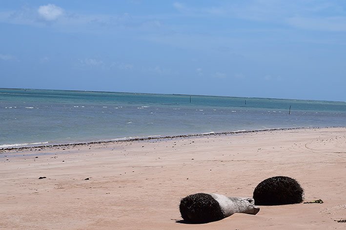 Mar de Patacho em Alagoas