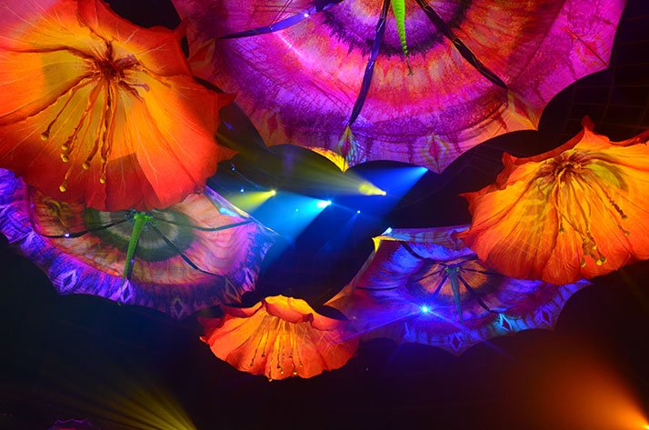 Shows em Las Vegas Le Reve showsemlasvegas11