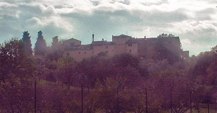 Siena24