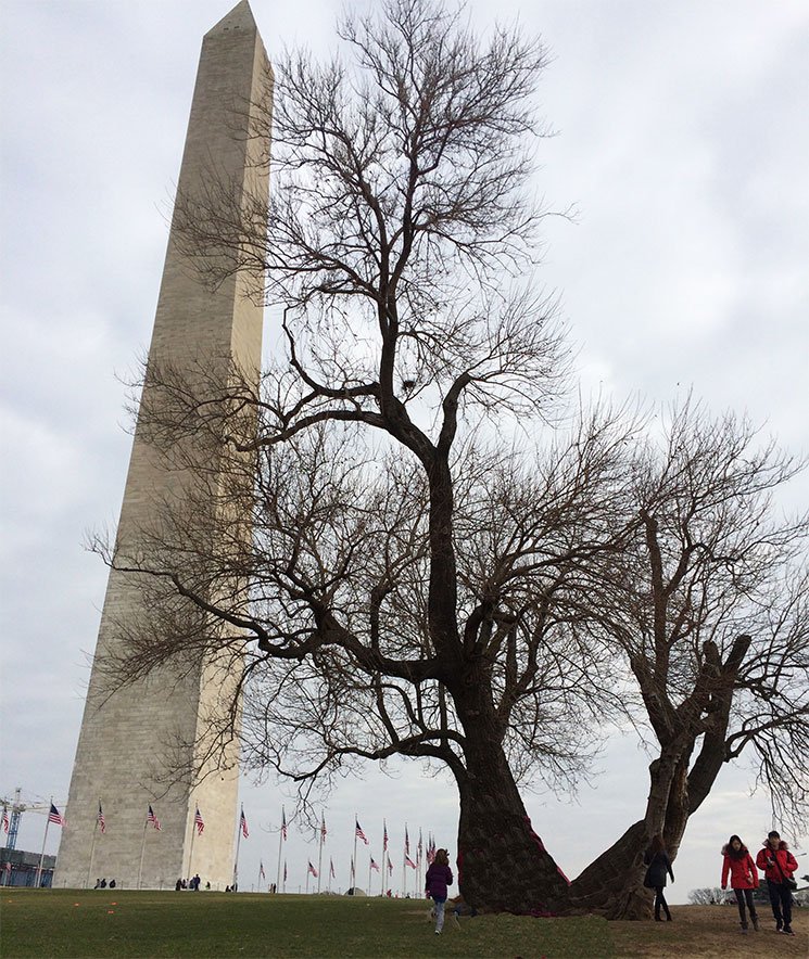 washington-24