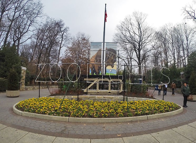 washington-5
