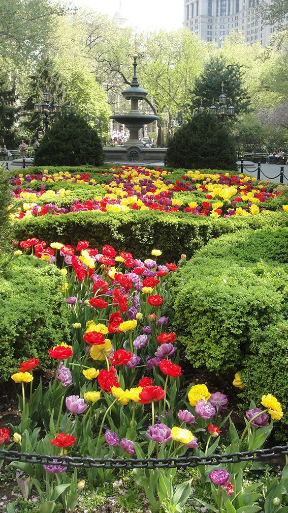 como e new york na primavera 10