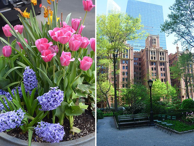 como e new york na primavera 11