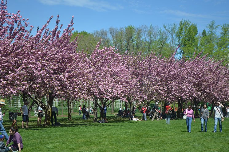 como e new york na primavera 4