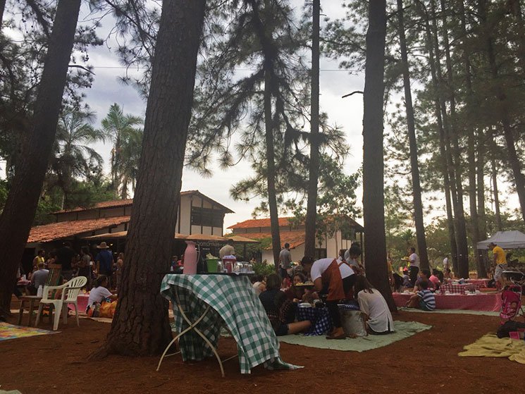 cafe-no-jardim-botanico-de-brasilia-11