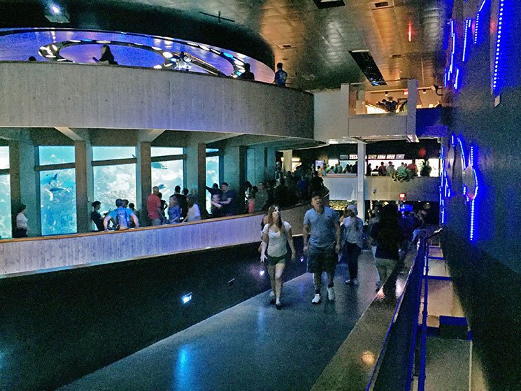 aquario-em-boston-predio