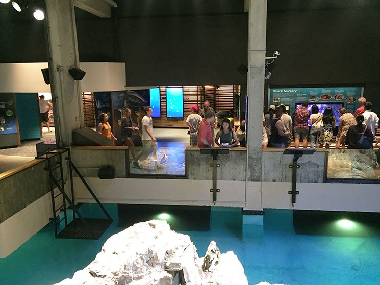 aquario-em-boston-rampa2