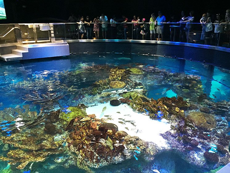 aquario-em-boston-topo