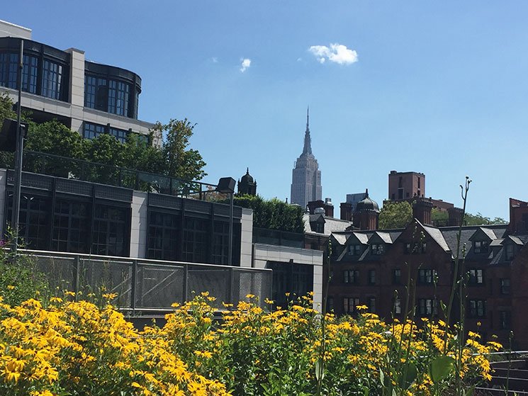 high-line-park-em-new-york-8