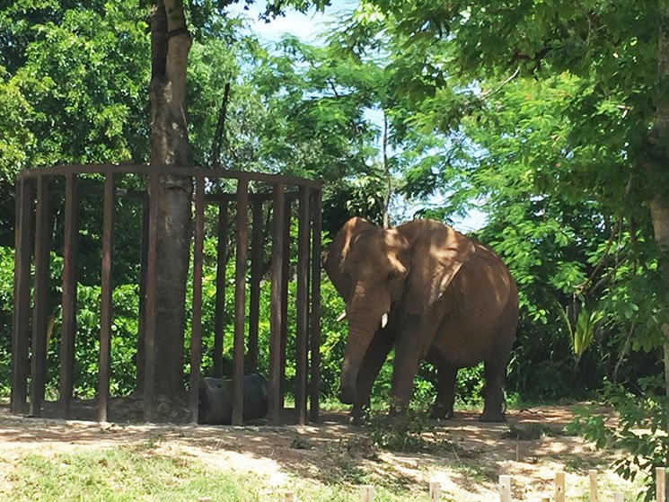zoo-de-miami-17