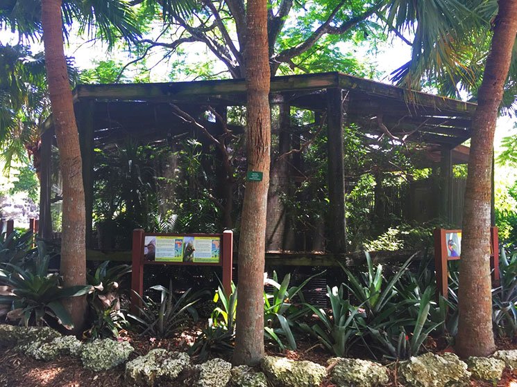 zoo-de-miami-18
