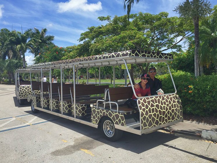 zoo-de-miami-25