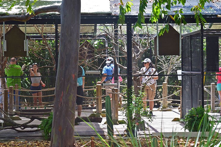 zoo-de-miami-5